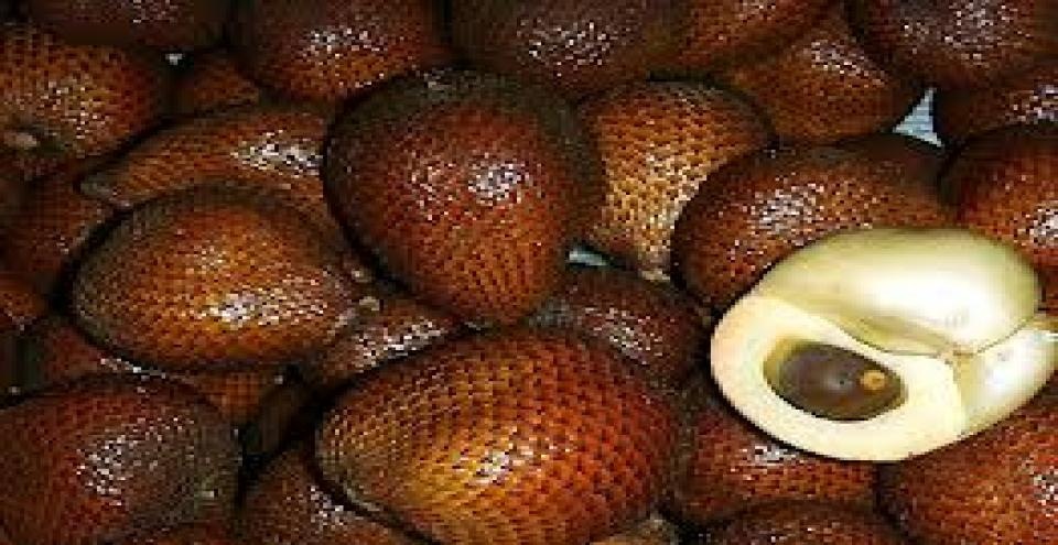Beritabali.com